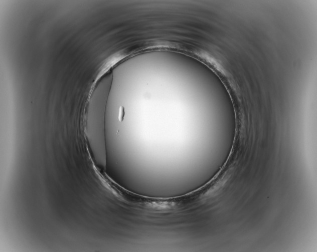 X0000086741137200704271645