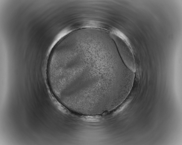 X0000086741138200704271645