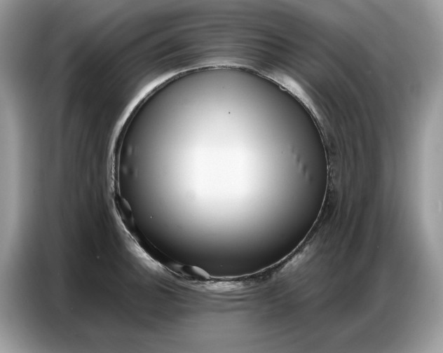 X0000086741140200704271645