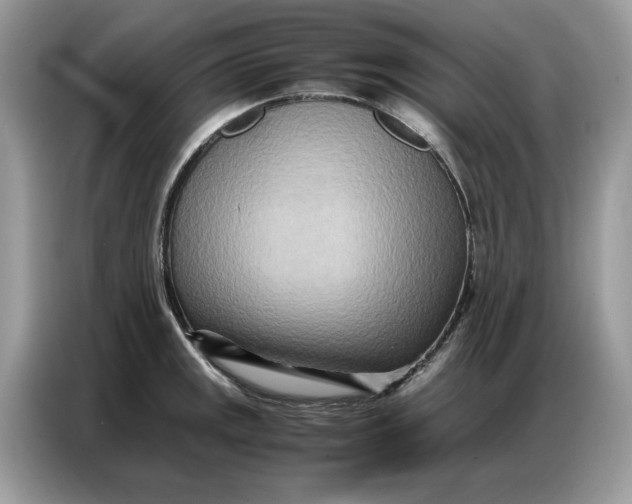 X0000086741141200704271645