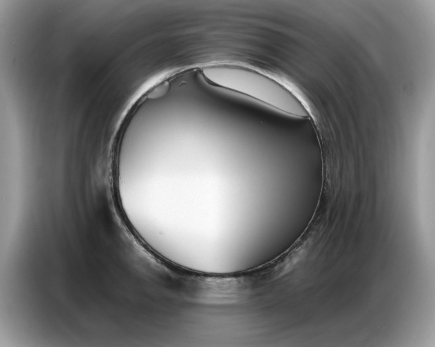 X0000086741142200704271645