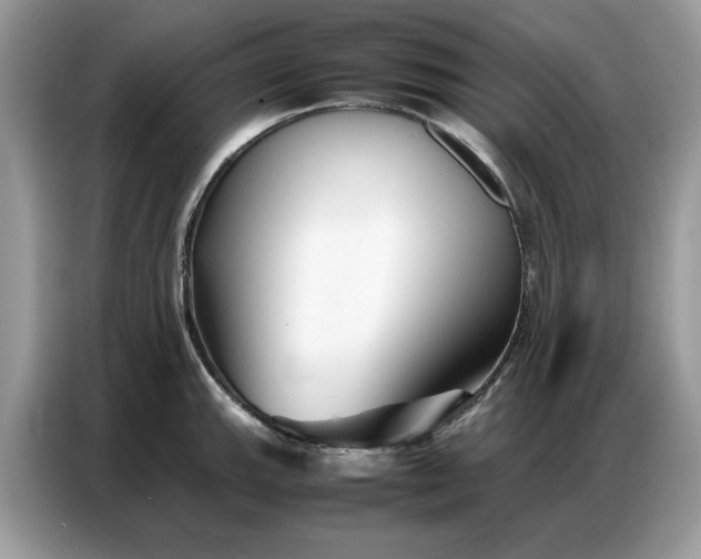 X0000086741143200704271645