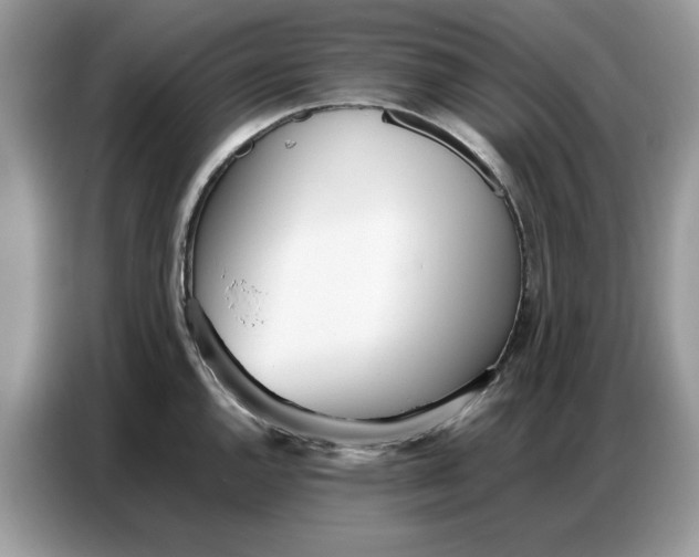 X0000086741144200704271645