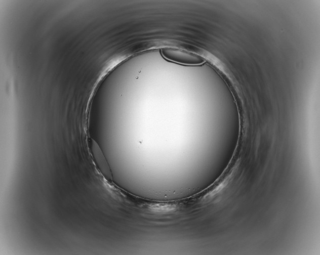 X0000086741145200704271645