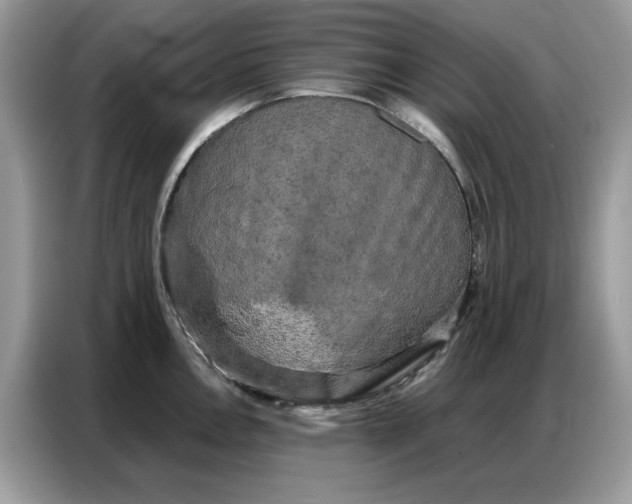 X0000086741146200704271645