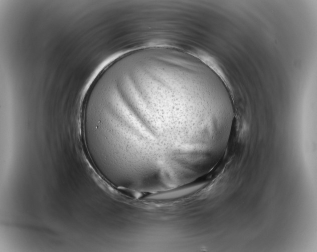 X0000086741148200704271645