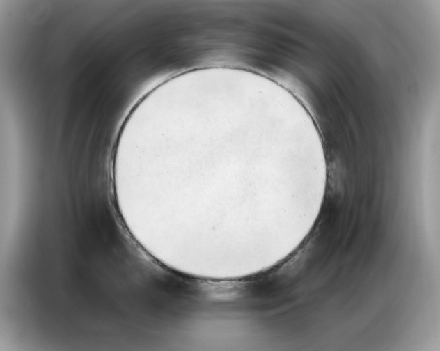 X0000086741150200704271645