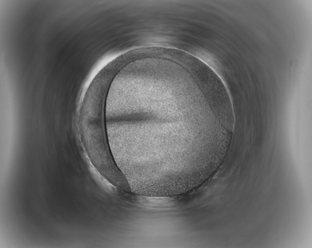 X0000086741152200704271645