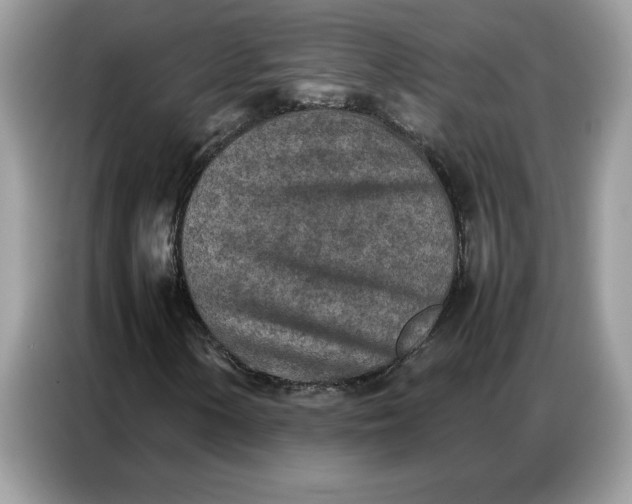 X0000086741154200704271645