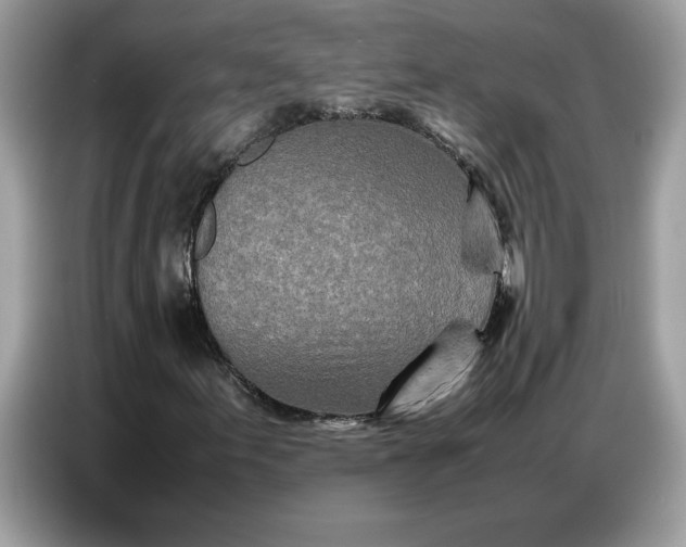 X0000086741155200704271645