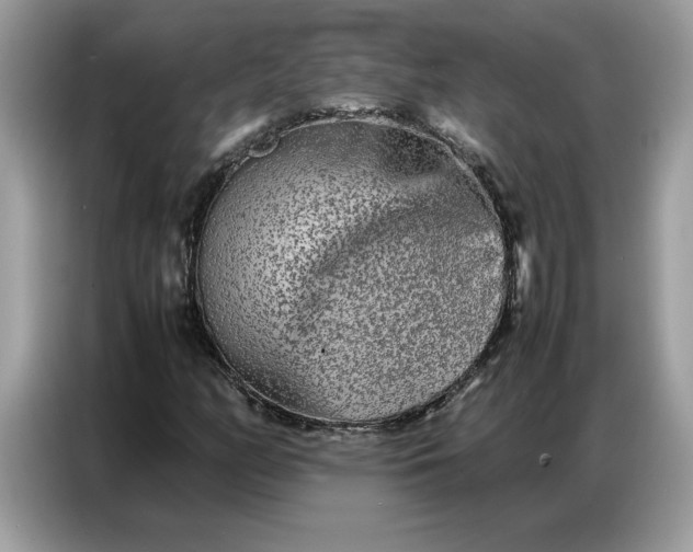 X0000086741158200704271645