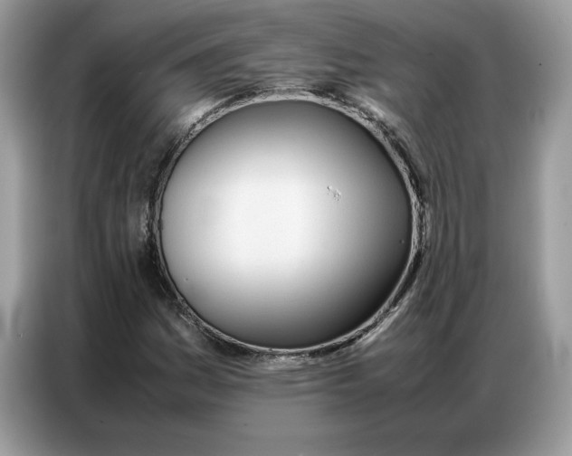 X0000086741161200704271644