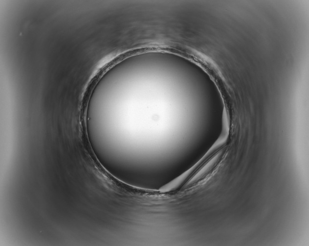 X0000086741168200704271644