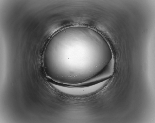 X0000086741169200704271644