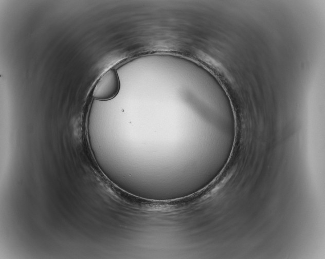 X0000086741170200704271644