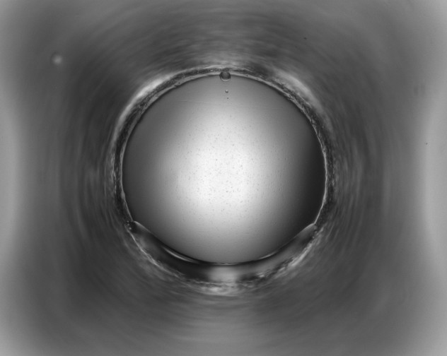 X0000086741172200704271644