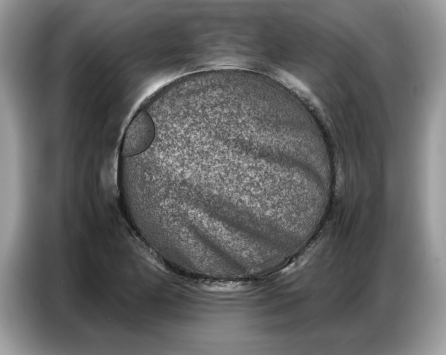 X0000086741174200704271644