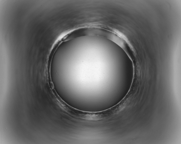 X0000086741176200704271644