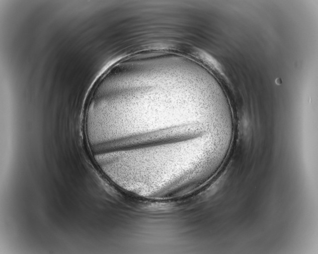 X0000086741178200704271644