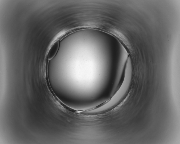 X0000086741180200704271644