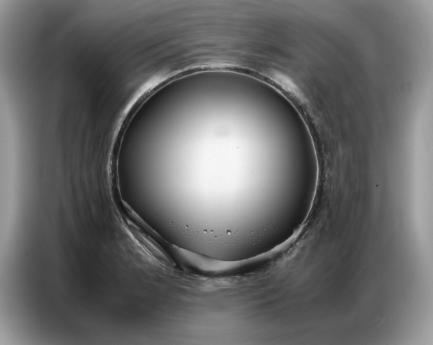 X0000086741181200704271644