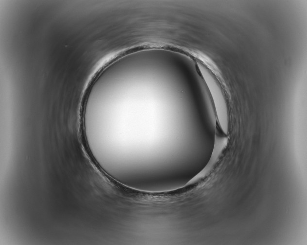 X0000086741183200704271644