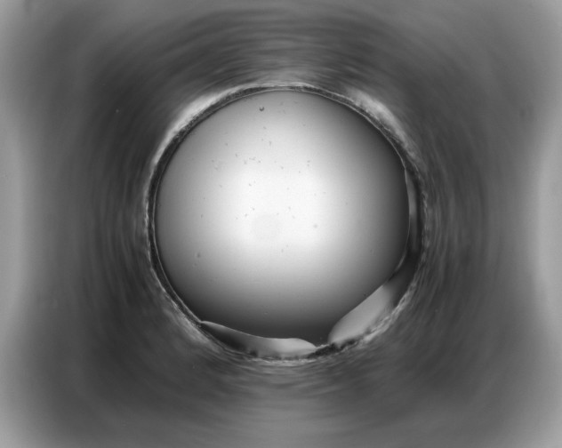 X0000086741184200704271644