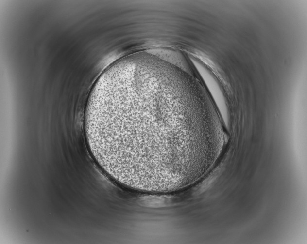 X0000086741185200704271644