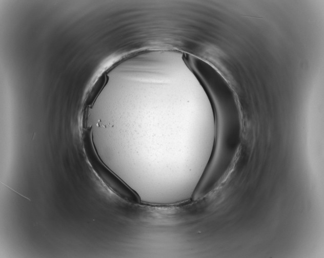 X0000086741196200704271644