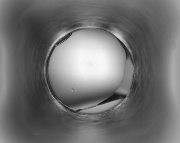 X0000086741197200704271644