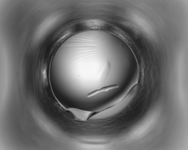 X0000086741198200704271644