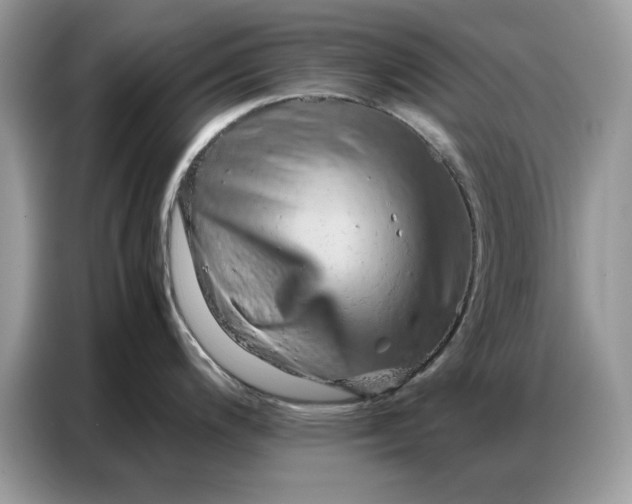 X0000086741200200704271644