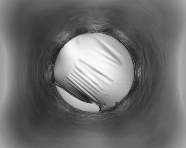 X0000086741204200704271643