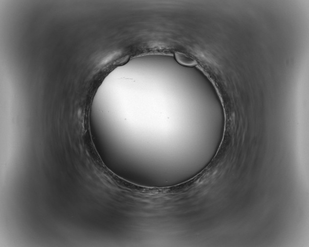 X0000086741205200704271643