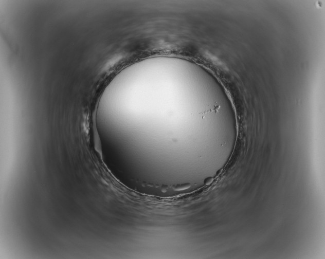 X0000086741206200704271643