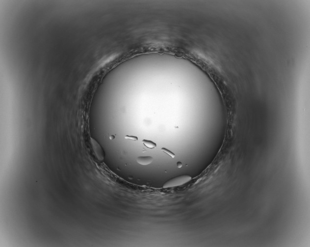 X0000086741207200704271643