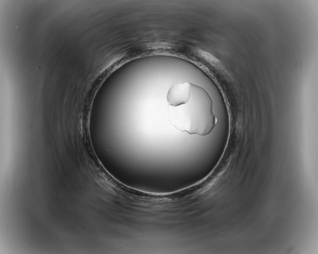 X0000086741209200704271643