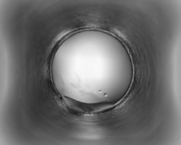 X0000086741215200704271644