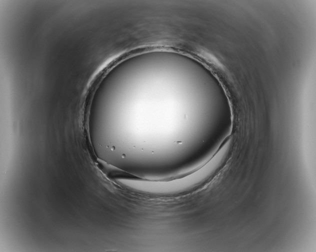 X0000086741216200704271644