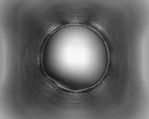 X0000086741217200704271644