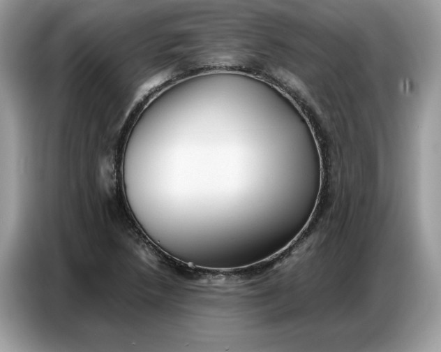 X0000086741218200704271644