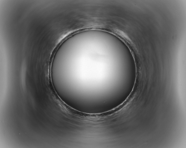 X0000086741220200704271644