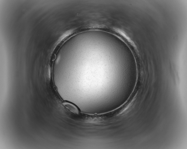 X0000086741221200704271644