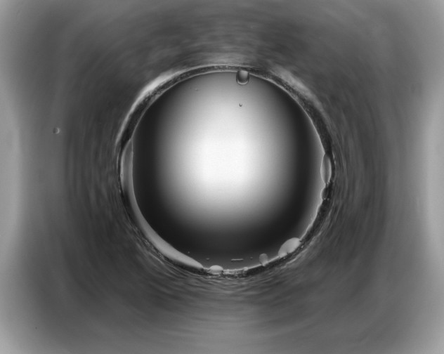 X0000086741222200704271644