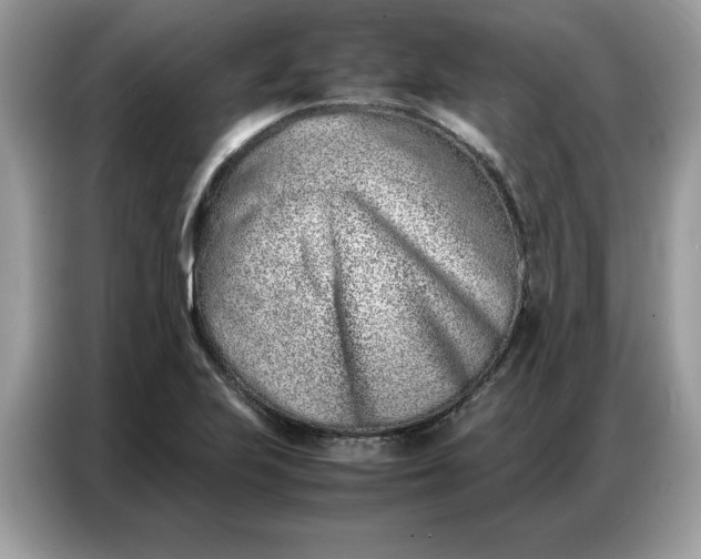 X0000086741223200704271644