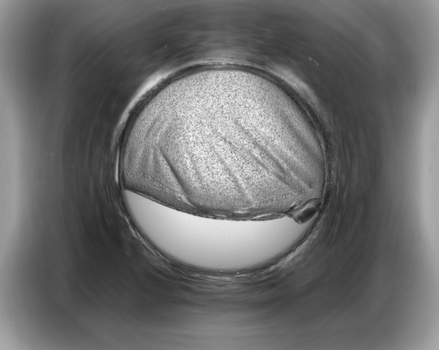 X0000086741224200704271644