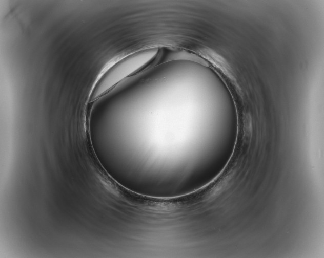 X0000086741226200704271644