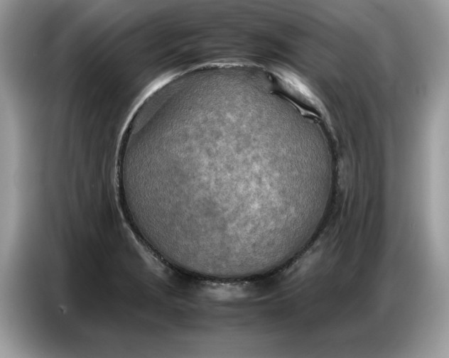 X0000086741229200704271644