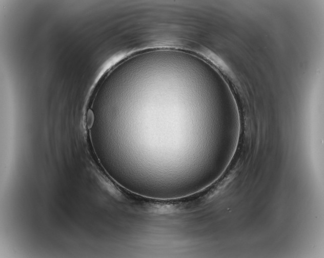 X0000086741230200704271644