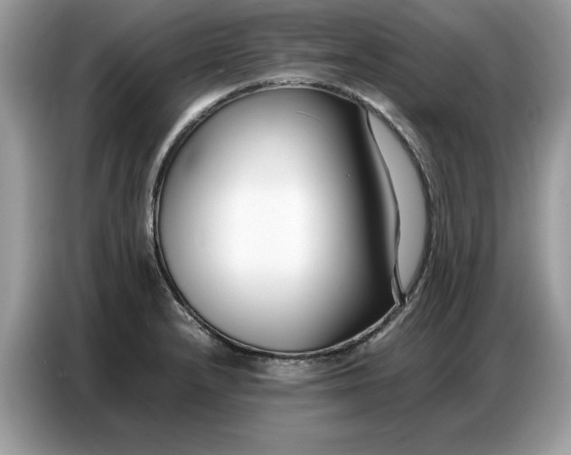 X0000086741232200704271644